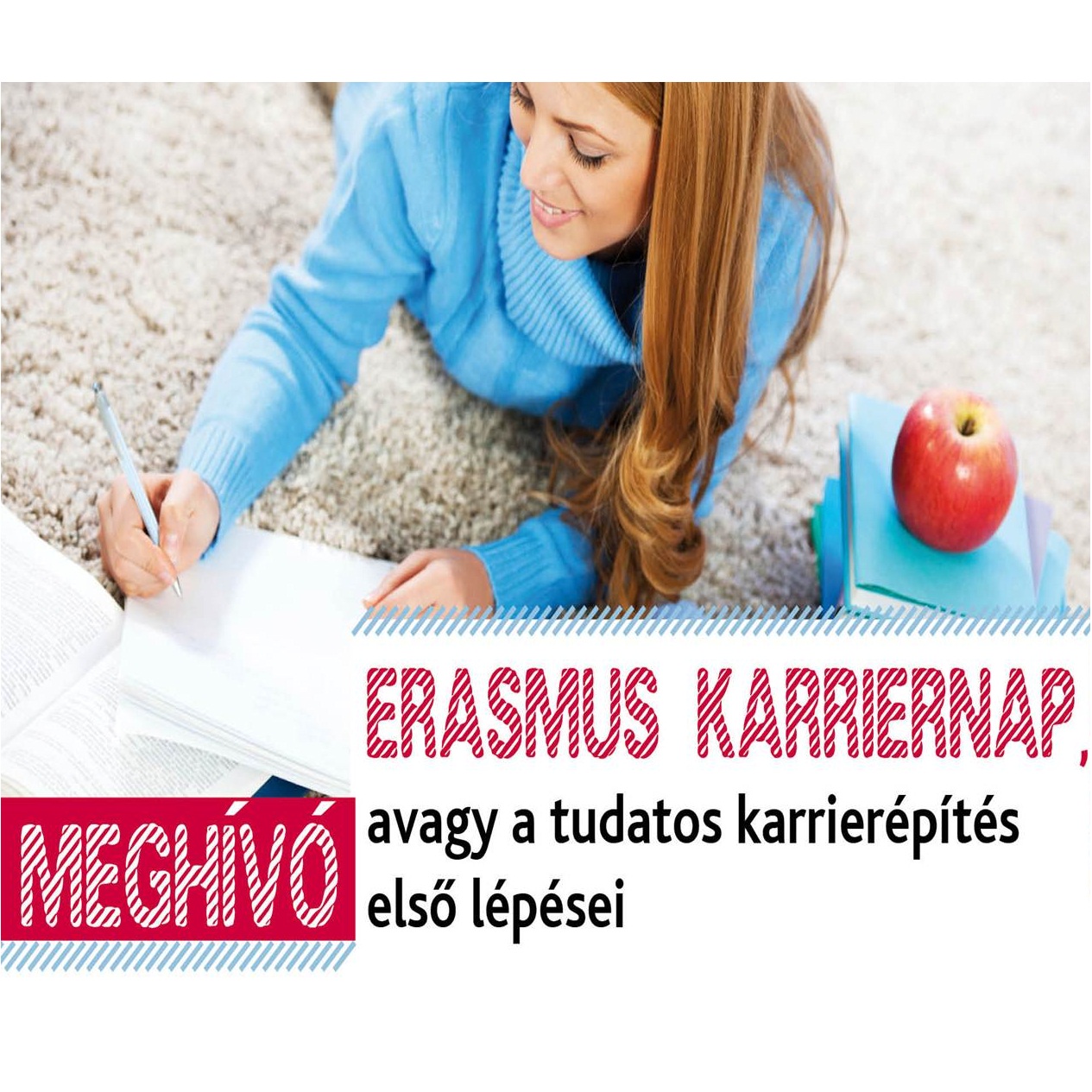 erasmuskarriernap